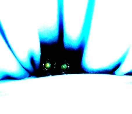 460>_634419